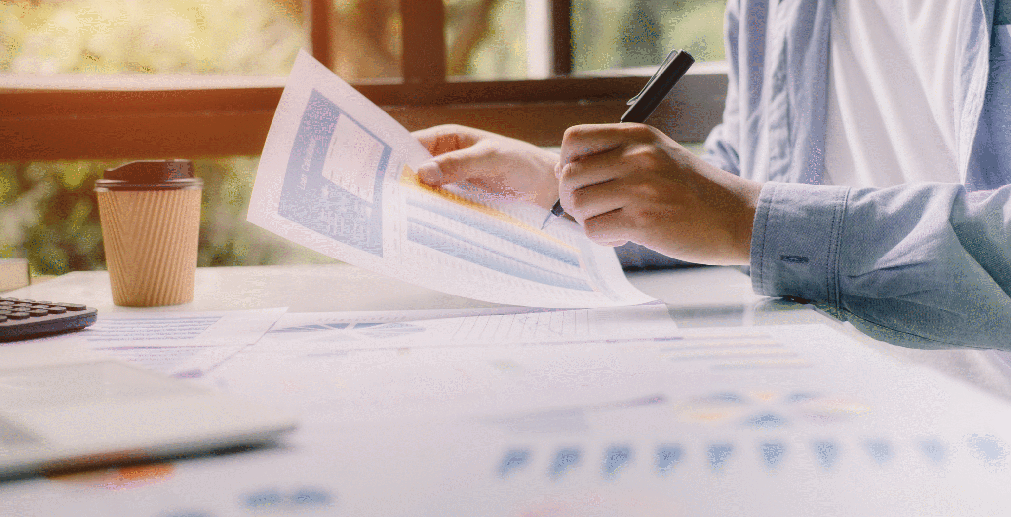 Budget- og salgsninja / Jesper